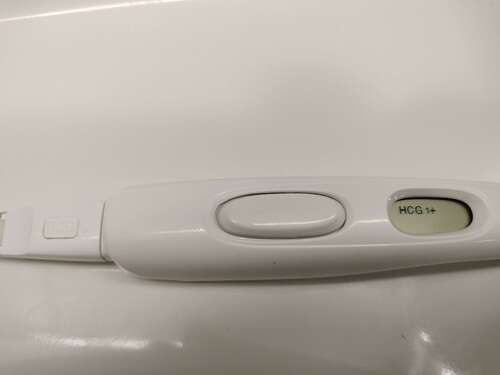 Ongesteld en toch zwanger | 1 | 24baby Forum