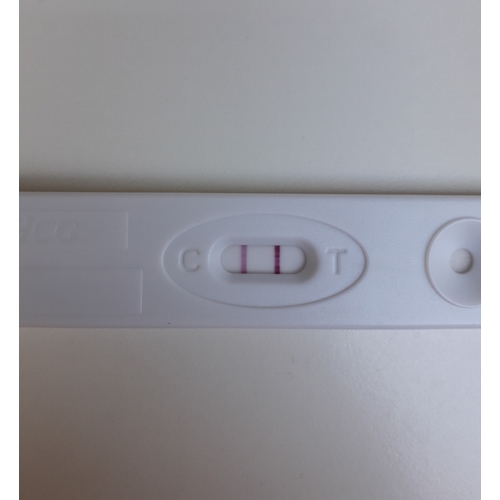 Predictor Testlijn Wel Controle Lijn Nauwelijks Zichtbaar