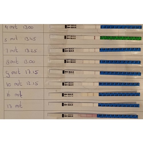 Ovulatie Testen 3e Zwangerschap Voor 1e Kindje Proberen 24baby Nl Forum