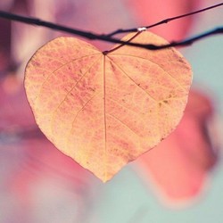 Zwanger En In De Ww 24baby Nl Forum